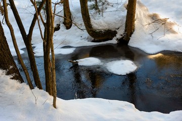Small creek with ice and snow and trees.