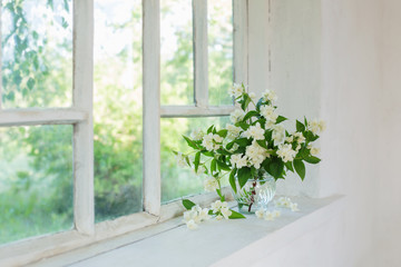 jasmine in vase on windowsill