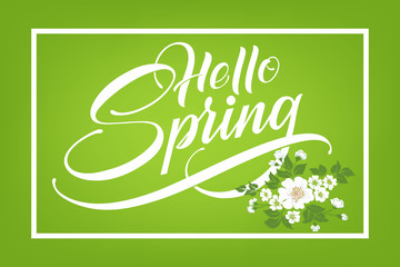 Hand drawn lettering Hello Spring. Elegant modern handwritten calligraphy. Vector Ink illustration on green background with flowers. For cards, invitations, prints etc.