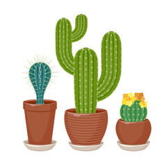 Cactuses set vector illustration.