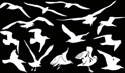 fifteen gulls silhouettes on black background