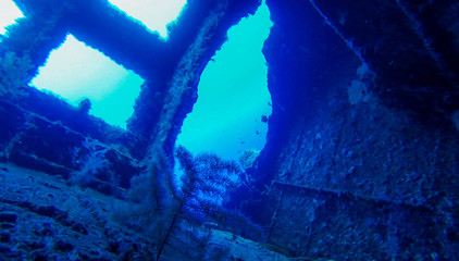 diving wreck