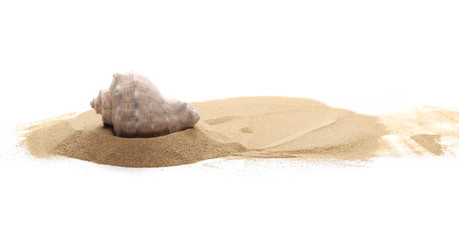 Fototapeta na wymiar Seashell in sand pile isolated on white background