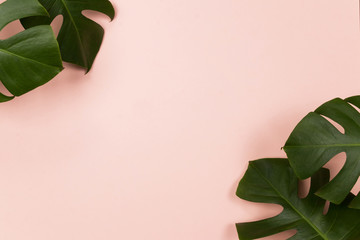 Fototapeta na wymiar Tropical palm leaf on pink background. Flat lay, top view - Image.