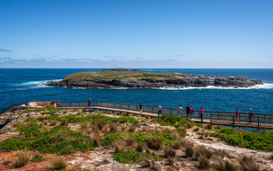 Fototapeta na wymiar Panoramic view of Cape du Couedic with Casuarina Islets and boardwalk to admirable arch on Kangaroo island in Australia