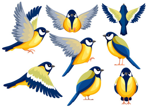 Colorful Icon set of Titmouse bird . Flat cartoon character design. Bird icon in different side of view. Cute titmouse template. Vector illustration isolated on white background