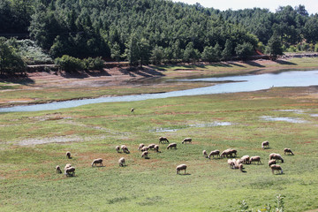 Artificial Lake Plastira of Karditsa central Greece Europe