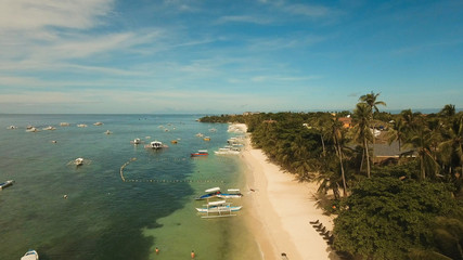 Aerial view of tropical beach on island Bohol, Anda area, Philippines. Beautiful tropical island with sand beach, palm trees. Tropical landscape: beach with palm trees. Seascape: Ocean, sky, sea
