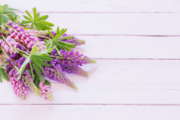 lupine on pink wooden background