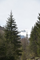 Romania,Bistrita Anies Valley,Anies,2018