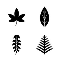 Floral Branch Leaf Plant. Simple Related Vector Icons