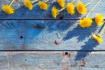 Fototapeta premium dandelions on old wooden background