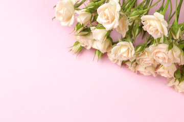 Obraz na płótnie Canvas Frame of beige beautiful mini roses on a bright pink background. prazniki. place for text.
