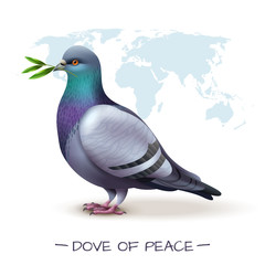 Worldwide Peace Pigeon Background