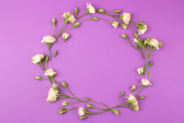 Fototapeta na wymiar Frame of beige beautiful mini roses on a bright purple background. holidays. place for text. top view