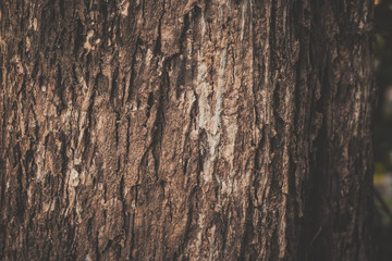 old wood background