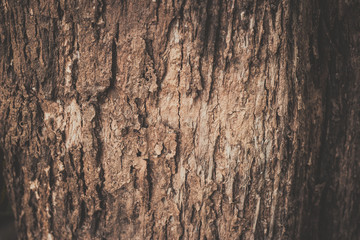 old wood background