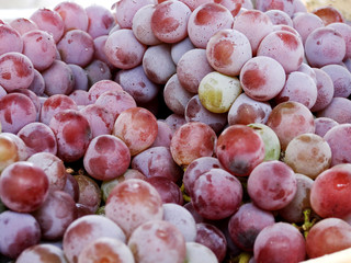bunch of red grapes