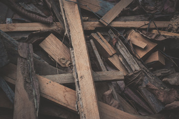 texture of bark of tree