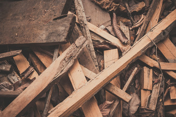 texture of bark of tree
