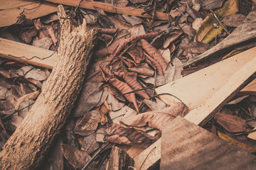 dried leaves background
