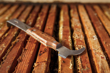 Beekeeper tool lays on opened wooden beehive. Collect honey. Beekeeping concept