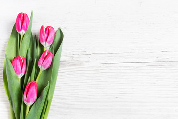 Beautiful pink tulips on wooden background.