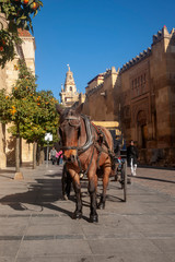 Naklejka na ściany i meble calles del casco histórico de la ciudad de Córdoba, Andalucía