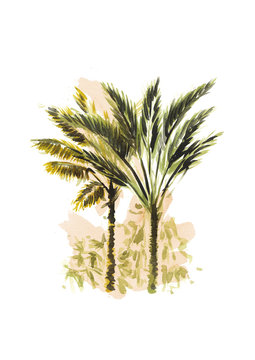 Plants 4