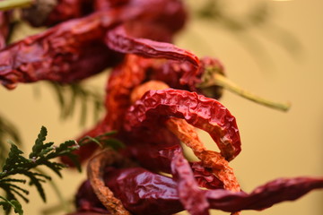 Dry Chilli Peppers Hanging