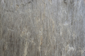 Wood Texture and Pattern for Background