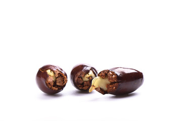 Lychee, Lat. Litchi chinensis - Chinese plum - first sprouts isolated on white background