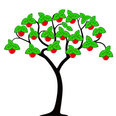 Apple tree with leaves. Red apple