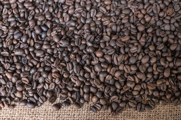Roasted coffee beans fresh from oven