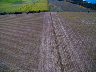 Cultivated land, aerial view, La Pampa, Argentina