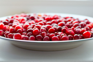 A lot of frozen cranberries in a white plate. Closeup of berries for design or project.