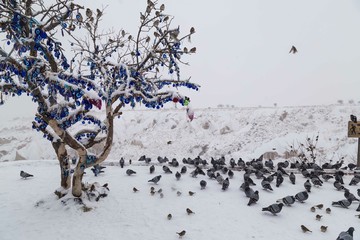 The pigeon valley in Capadoccia,Turkey. winter and travel concept .