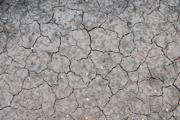 Drought, the ground cracks, no hot water, lack of moisture. Dried and Cracked ground,Cracked surface,Dry soil in arid areas