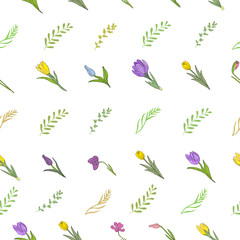 Seamless pattern with different spring flowers and herbs. Isolated elements on a white background.