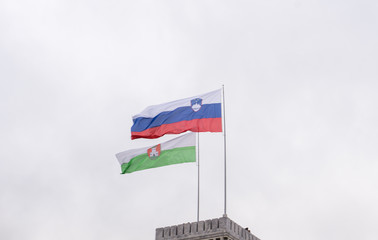 Slovenian Flag with white background