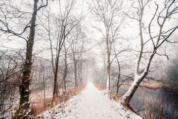 Snowy trail in a misty forest with a river