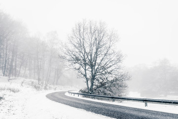 Lonely tree in a highway curve in the winter