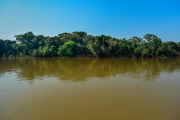 Amazonas landscape, Pantanal, Brazil