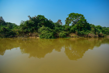 Fototapeta premium Amazonas landscape, Pantanal, Brazil