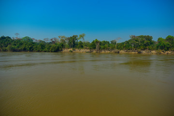 Amazonas landscape, Pantanal, Brazil