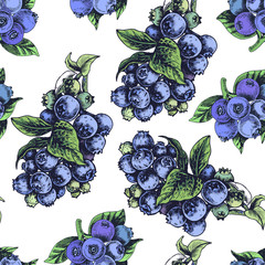 Hand drawn sketch vector iilustration bilberry. Pattern with bilberry.
