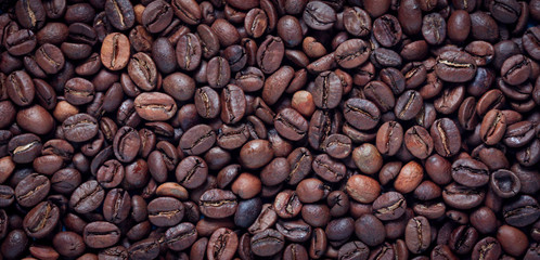 coffee beans background