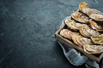 Fresh closed oysters. Seafood On a black stone background. Top view. Free copy space. - obrazy, fototapety, plakaty