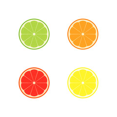 Vector set of lemon, orange, lime, grapefruit slices on white background.