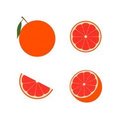 Fresh red grapefruit vector illustration